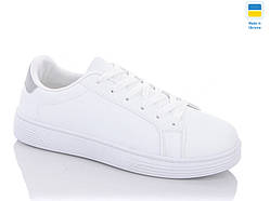 Кеді чоловічі Swin