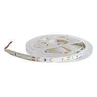 Світлодіодна LED стрічка 8мм 4,8Вт/м 60 LED/м IP20 AVT-300W3528-4,8W-12 білий (5м)