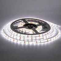 Світлодіодна LED стрічка 8мм 9,6Вт/м 120 LED/м IP20 AVT 600W3528-9,6W-12 білий (5м)