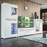 Тумба 2Д Ск Б'янко (Світ меблів) 801х400х1140мм, фото 3