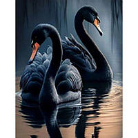 Алмазна мозаїка Чорні лебеді без підрамника розміром 40х50 см [tsi236920-TCI]
