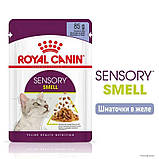 Вологий корм для дорослих котів стимулює нюхові рецептори Royal Canin Sensory Smell Jelly 85 г, фото 9