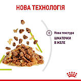 Вологий корм для дорослих котів стимулює нюхові рецептори Royal Canin Sensory Smell Jelly 85 г, фото 4