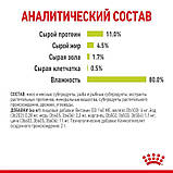Вологий корм для дорослих котів стимулює нюхові рецептори Royal Canin Sensory Smell Jelly 85 г, фото 5
