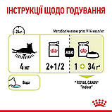 Вологий корм для дорослих котів стимулює нюхові рецептори Royal Canin Sensory Smell Jelly 85 г, фото 6