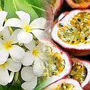 Аромадифузор для дому Monoi & Passion Fruit (Моной і маракуйя) Collines de Provence, 100 мл, фото 2