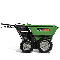 Мінізаскиди