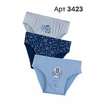 Трусики дитячі для хлопчика ТМ Baykar р.0 (86-92 см)