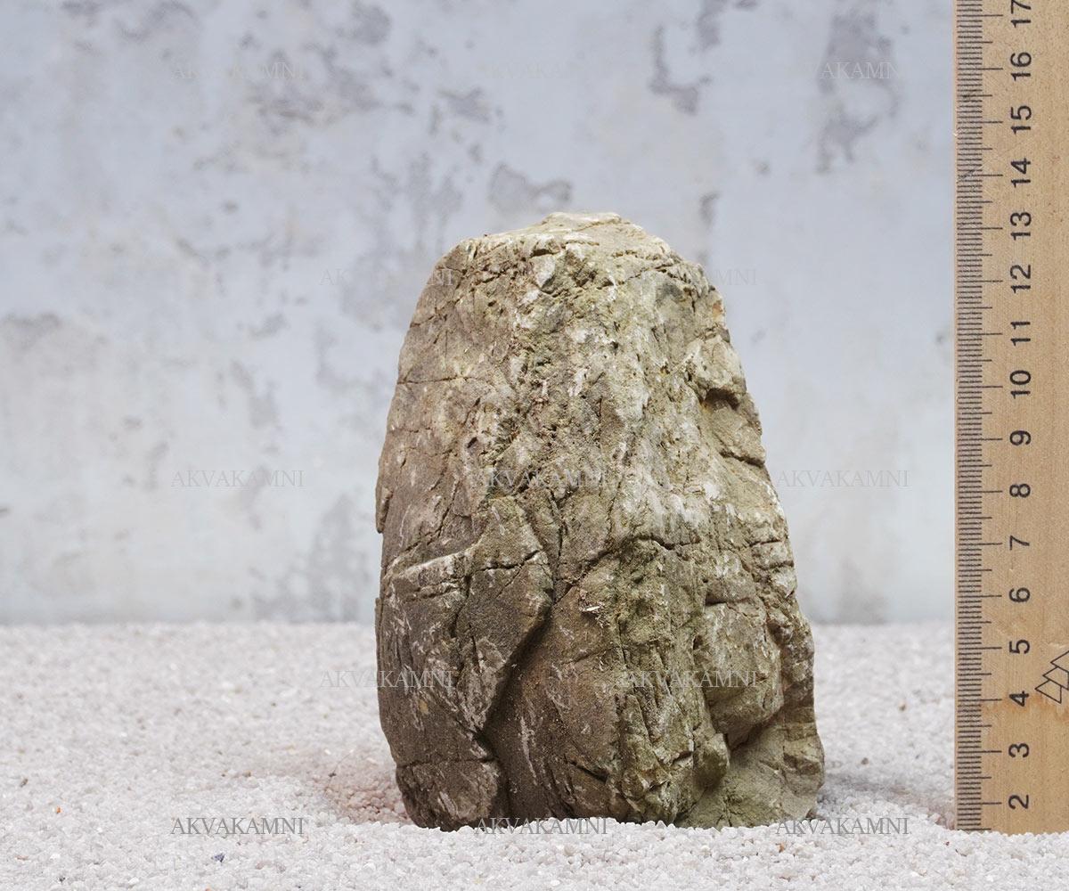 Карпатский камень 60 (~1kg) (ID#2153517161), цена: 66 ₴, купить на Prom.ua