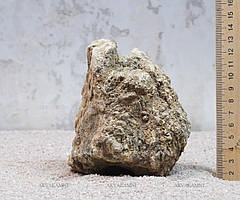 Карпатський камінь 78 (~1kg)
