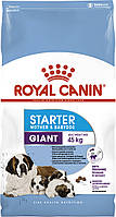 Royal Canin Giant Starter сухий корм для цуценят до 2 місяців, вагітні та сучки, що годують, 18КГ