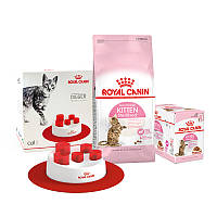 Корм для стерилізованих кошенят KITTEN STERIL 2кг + Вологий корм KITTEN STERILIZ IN GRAVY 12 шт + годівниця