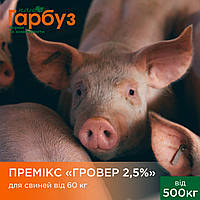 ПРЕМІКС "ПРОФЕСІЙНИЙ ГРОВЕР 2,5%"для свиней від 60 кг