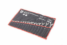 Набір ключей комбінованих, 17 предметів, 6-24 мм. dk-st-17