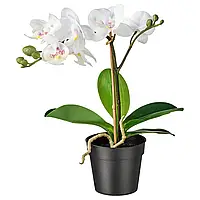 ІКЕА FEJKA Штучна рослина в горщику біла орхідея, 9 см 00285908