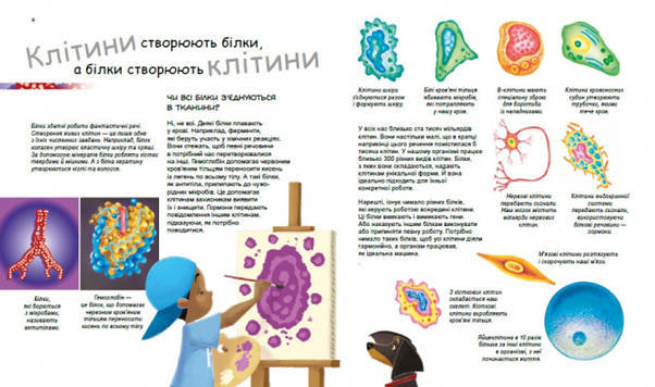 Енциклопедія для дітей "X та Y дівчинка або хлопчик? Генетика для дітей" | Ранок, фото 3