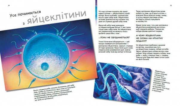 Енциклопедія для дітей "X та Y дівчинка або хлопчик? Генетика для дітей" | Ранок, фото 6