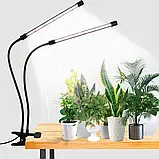 Фітолампа світлодіодна для рослин з таймером 2 гілки, фото 4