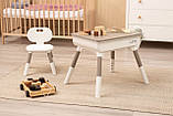 Дитячий столик та стілець Toyz Caretero Lara Grey, фото 9