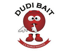 DUDI BEITS