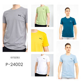 Модель P-24002