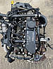 Двигун F1AFL411C, фото 3
