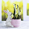 Великодня керамічна статуетка "Кролик" H. B. Kollektion, фото 2
