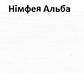 Ліжко-гірка Універсал-3, німфея альба (Компаніт), фото 3