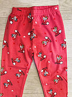 Лосини для дівчат оптом, S&D,98-128 см, № CH-6724, фото 4