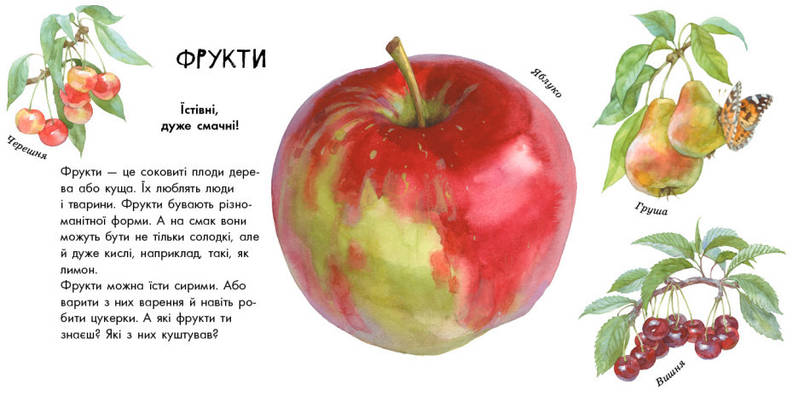 Книга для дітей "В гостях у природи. Про рослини" | Ранок, фото 3