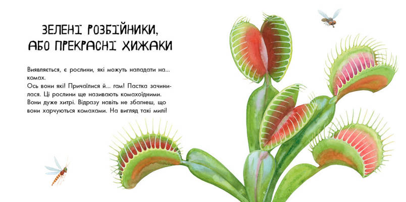 Книга для дітей "В гостях у природи. Про рослини" | Ранок, фото 4