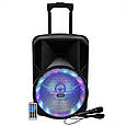 Переносна акустична система MEGAFOX MD19-12L (12"x1) (40 W) (бездротовий мікрофон) (Пульт), фото 9
