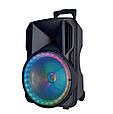 Переносна акустична система MEGAFOX MD19-12L (12"x1) (40 W) (бездротовий мікрофон) (Пульт), фото 8