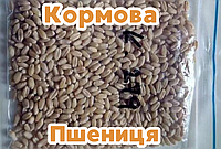 30 кг. Пшеница Фураж 4 - Чистая и Сухая, Доставка по Украине