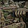 Шеврон PATCH M-TAC Viking Evac (51416008) Multicam, фото 3