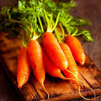 Морковь Витаминная - 6