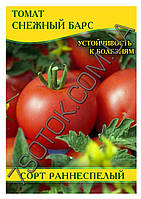 Насіння томату Сніжний Барс, 100 г