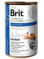 Влажный корм для собак и котов Brit GF Veterinary Diets Dog + Cat Can Recovery 400 г