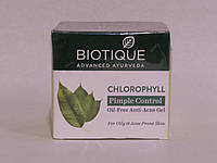 Biotique Chlorophyll Oil Free Anti acne Gel (Гель від вугрів с хлорофілом) 50 г.