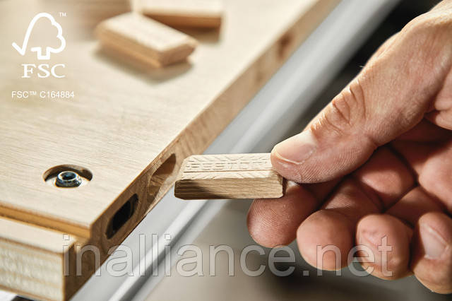 Вставний шип DOMINO бук D 5x30/300 BU Festool 494938