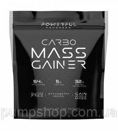 Гейнер високовуглеводний Powerful Progress Carbo Mass Gainer 2000 г, фото 1