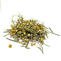 Пижма обыкновенная 100 г | Трава сушеная
