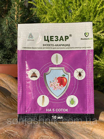 Цезар 10мл, фото 1