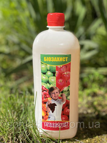 Гуапсин 1л, фото 1