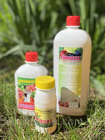 Гуапсин 500мл, фото 2