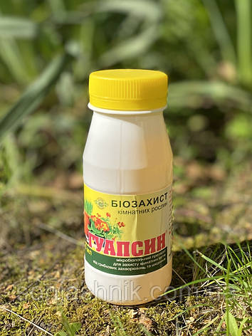 Гуапсин 250мл Біо, фото 1