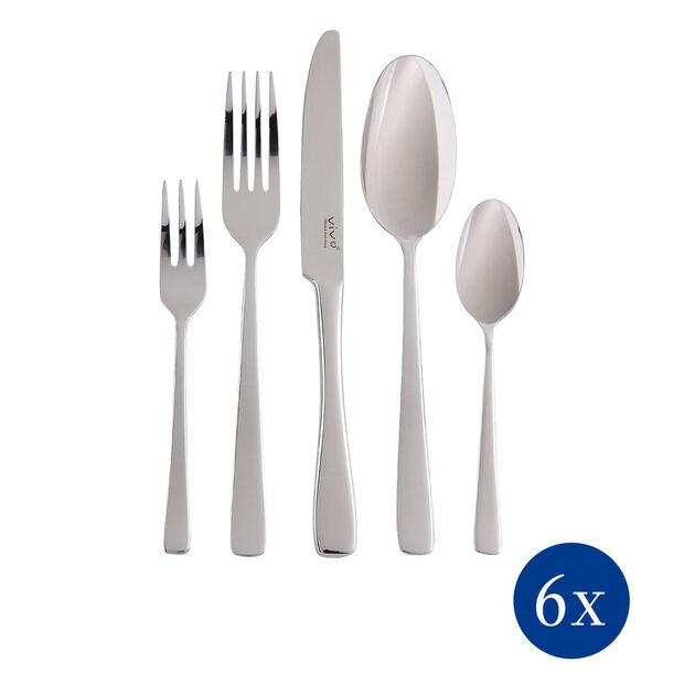 Набір з 30 столових приборів Villeroy & Boch Voice Basic Besteck на 6 персон