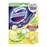 Блок для унитаза Domestos Power 5 Свежесть лайма 55 г