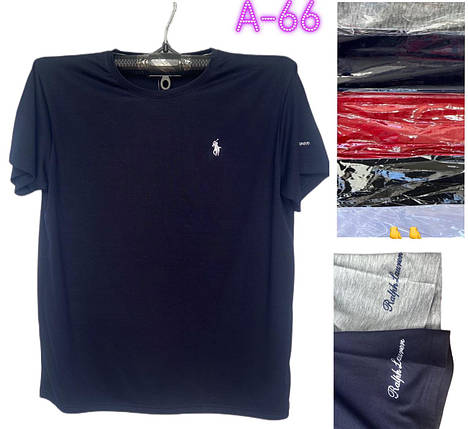 Чоловічі футболки №А66 р.XL-3XL (46-54), фото 1