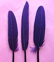 Перо гусиное, 9 - 15 см фиолетовый